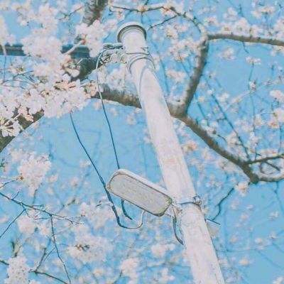 哀江南赋序